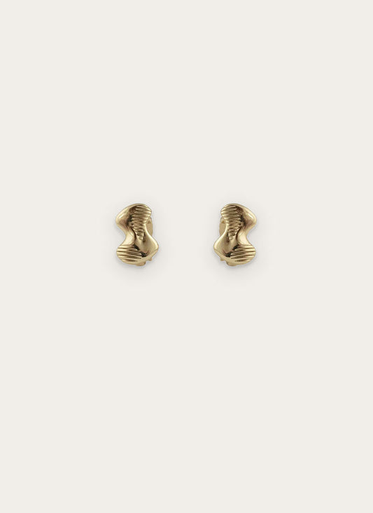 Shapy clip earring